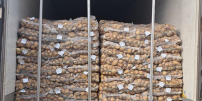 Hola tengo papas en bolsa grande y bolsa, si
