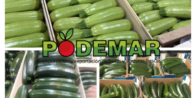 Fresh Limes Tahiti Colombia All calibers available Packaging: 4,5kg