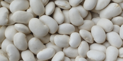 Hola, tenemos frijoles jack enanos a la venta, tamaño