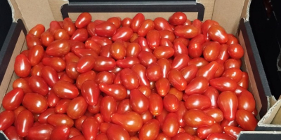 Venderé tomates cherry, dátiles y una mezcla de 4