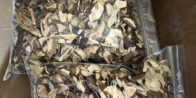 Ofrecemos setas del bosque (boletus, rebozuelos). Seco o congelado.