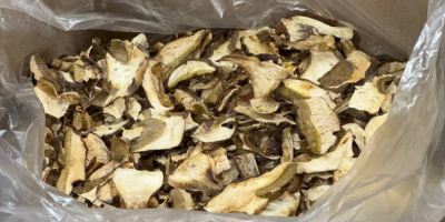 Ofrecemos setas del bosque (boletus, rebozuelos). Seco o congelado.