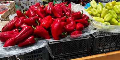 Pimiento rojo Categoría de calidad: Grado II Tamaño: 40-60