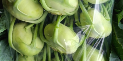 Colirrábano para mercado fresco con una hoja bonita