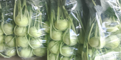 Colirrábano para mercado fresco con una hoja bonita