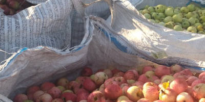 manzanas para jugo