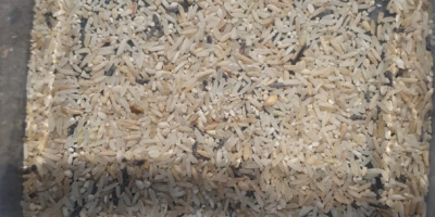 Tengo arroz forrajero a la venta, por favor contácteme