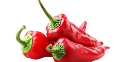 Disponible Pimiento Rojo Dulce Ecológico. Desde 2017 creamos la