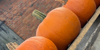 Venta de calabazas Gómez. De 1 a 4 kilogramos.