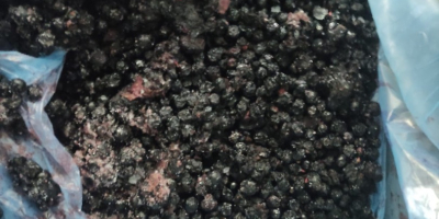 Venta de arándanos congelados, Cantidad 8.000 kg, Envase kk
