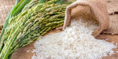 Deléitese con la calidad superior del arroz de Tanzania,