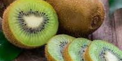 Kiwi de calidad importado de Italia directamente del productor.