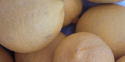 Limones sin químicos. Con bastante zumo y un sabor