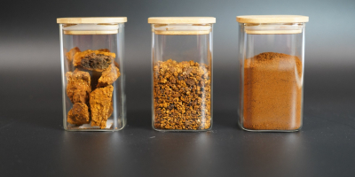Ofrecemos chaga (hongo de abedul) seco de alta calidad