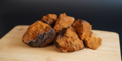 Ofrecemos chaga (hongo de abedul) seco de alta calidad