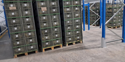 Fruta liofilizada Fresa -16$ kg Exportación a todo el