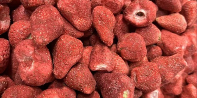 Fruta liofilizada Fresa -16$ kg Exportación a todo el