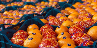 Naranja fresca Valencia