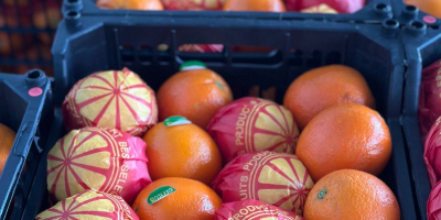Naranja fresca Valencia