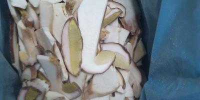 Boletus edulis en rodajas, primera calidad