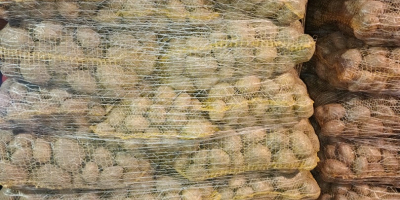 Hola. Tengo patatas amarillas y rojas a la venta.
