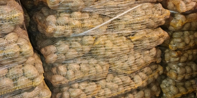 Hola. Tengo patatas amarillas y rojas a la venta.