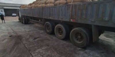 Anacardos crudos, soja, cacao y carbón vegetal de madera