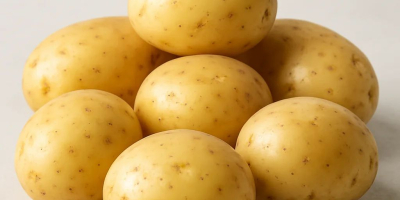 En Contigate ofrecemos patatas jóvenes de la más alta
