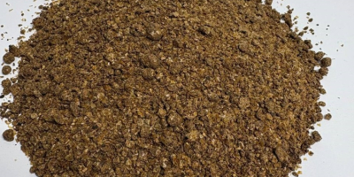 DDGS de maíz melazado: ¡alimento rico en proteínas! Como