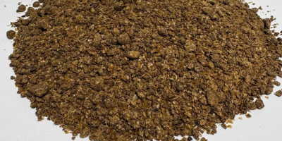 DDGS de maíz melazado: ¡alimento rico en proteínas! Como
