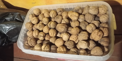 Vendo nueces ecológicas con cáscara, cantidad como en la
