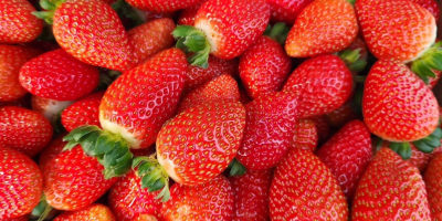 Hola vendo 3 camiones de fresas de origen español.