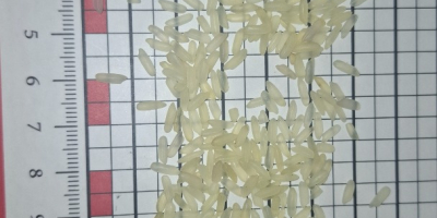 Venderé arroz parabola. diablillo. Myanmar (Birmania). Embalaje B/B 1000