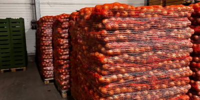 Vendo cebolla amarilla, sacos de 15 kilos, calibre 50-70.