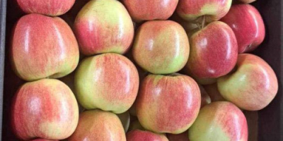Hola, ofrecemos manzanas de Polonia envasadas en cajas de