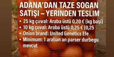 Vendemos cebollas frescas de Adana, Turquía para recoger en