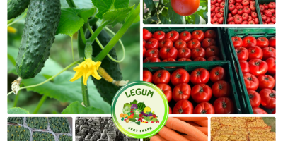 RGI DAR FRESH SRL es una empresa rumana fundada