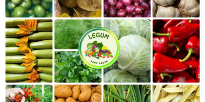 RGI DAR FRESH SRL es una empresa rumana fundada