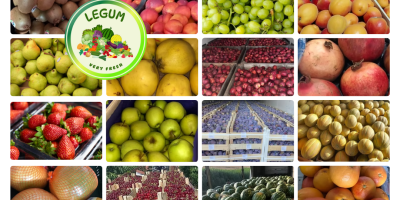 RGI DAR FRESH SRL es una empresa rumana fundada