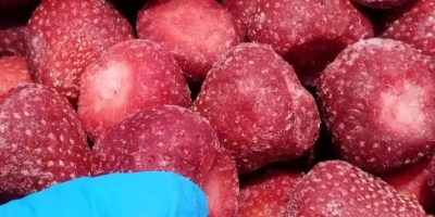 Fresa congelada IQF, Grado A (con análisis de pesticidas