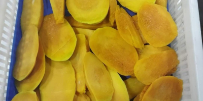 Mango IQF (con análisis de pesticidas y microbiológico). Envase: