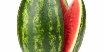 Sandía marroquí: naturalmente más dulce, cuidadosamente gestionada. Cultivadas bajo