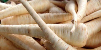 Hola, enviamos frutas y verduras frescas de Polonia a