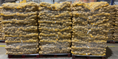 Nuestra empresa vende grandes cantidades de patatas frescas de