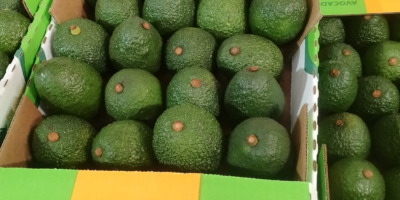 En Premium Foods International, nos enorgullece ofrecer los mejores