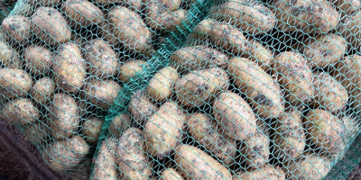 Vendo papas nuevas disponibles 10 toneladas