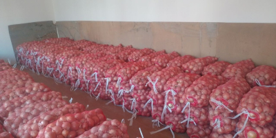 Disponemos de una gran selección de variedades de cebolla,