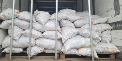 La empresa rumana CIOCAN FLOPAT PROMARK SRL, con muchos