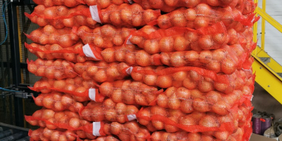Venta de cebollas clasificadas 5-7, 5-8, 7+. Producto polaco,
