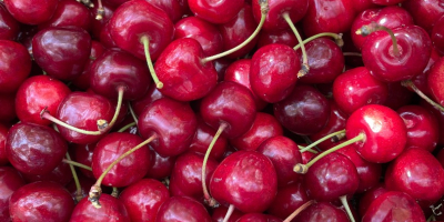 Hola, tengo una gran cantidad de cerezas a la